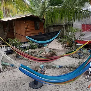 https://cabaa-sustentable-cozumel.quintano-roohotels.com